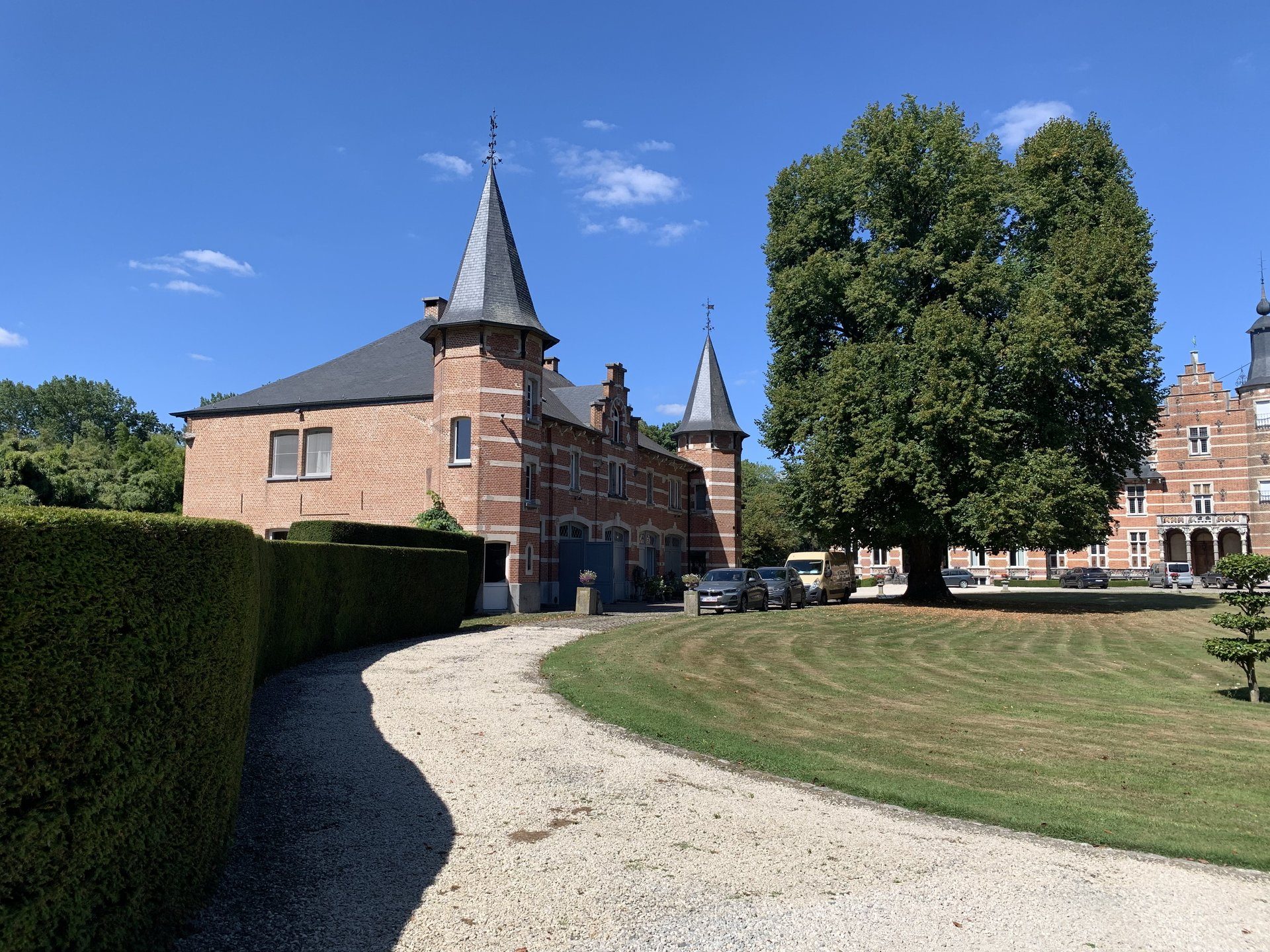 Restauration sur site — WoodyWood